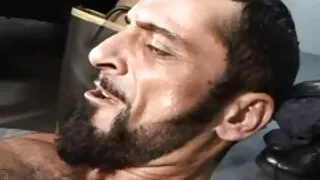 ব্রিটিশ কুক্কুট কেট  ...