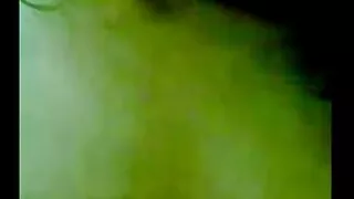 হর্নি ফ্রেক্স বড় ডি ...