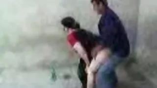রোমানিয়ান শ্যামাঙ্গ ...