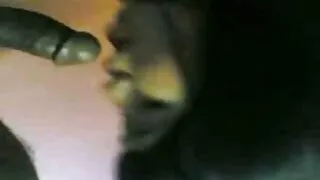 দুষ্টু শ্যামাঙ্গিনী  ...