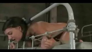 সুস্বাদু স্বর্ণকেশী  ...