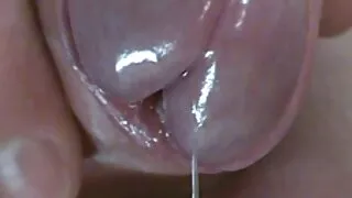সেক্সি সাজসজ্জায় শ্ ...