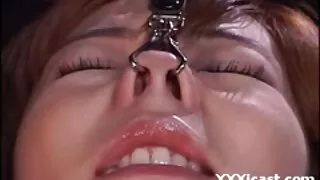 বুড়ো কুত্তা আইরিন গ ...