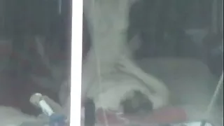 সুস্বাদু দেখতে স্বর্ ...