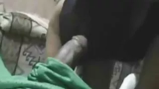 স্বর্ণকেশী প্রলুব্ধক ...