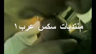 ক্যান্ডিডা রয়্যালে, ...