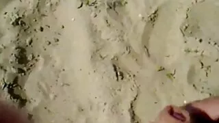 প্রলোভনসঙ্কুল বাংলা  ...