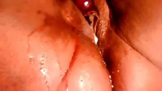 ব্ল্যাক হার্লট লিসা  ...