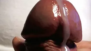 লাল সোফায় অপ্রতিরোধ ...