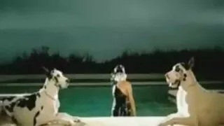 ক্ষুধার্ত শ্যামাঙ্গি ...